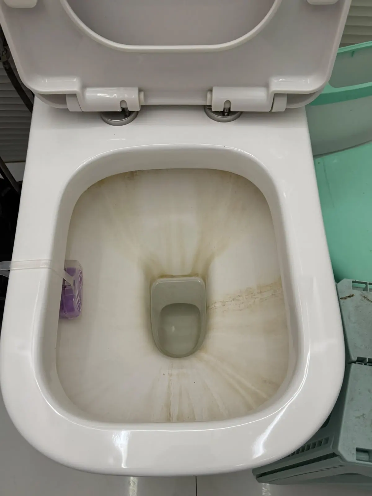 Serviço de limpeza de sanitário 1