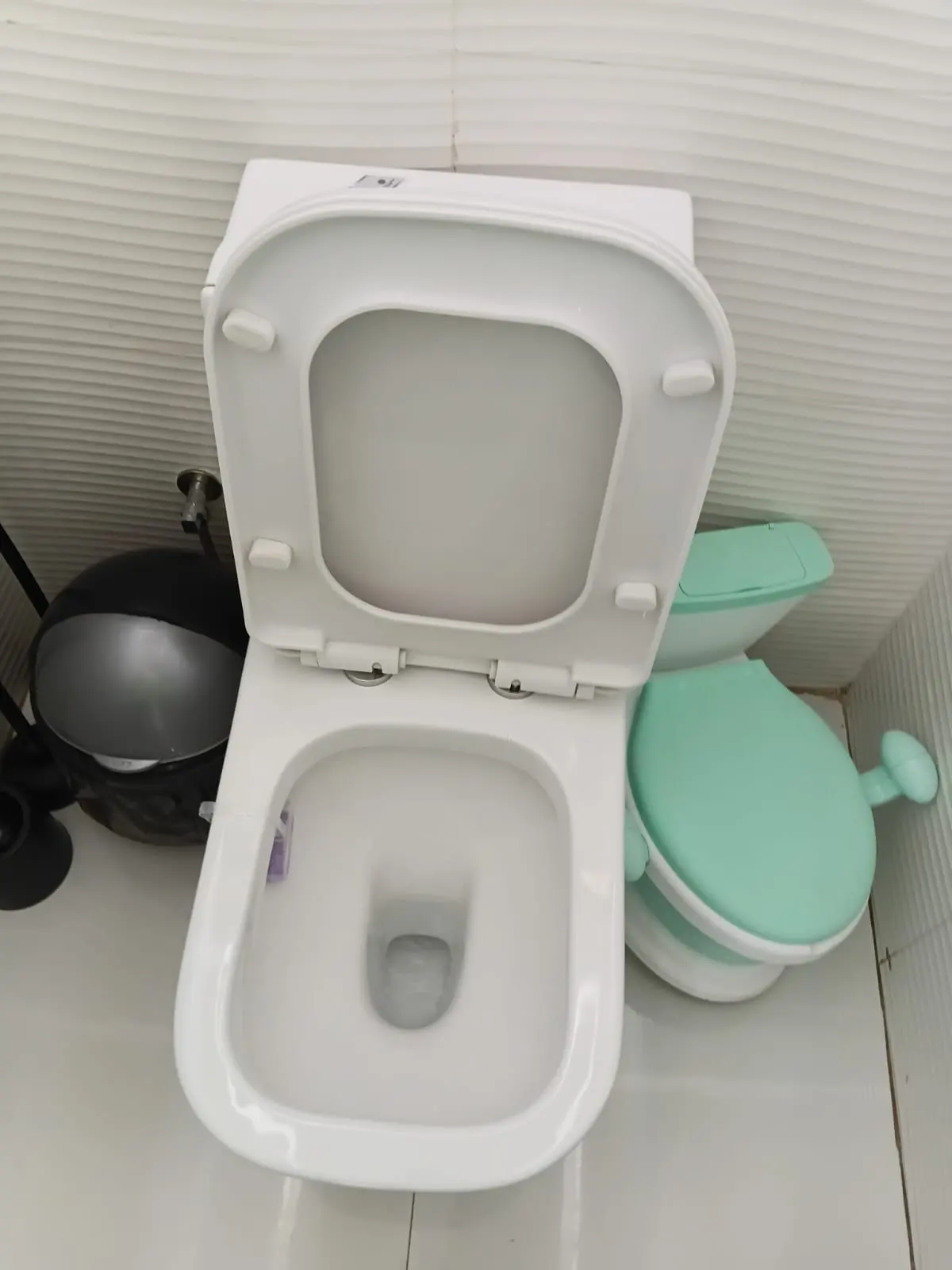 Serviço de limpeza de sanitário 2