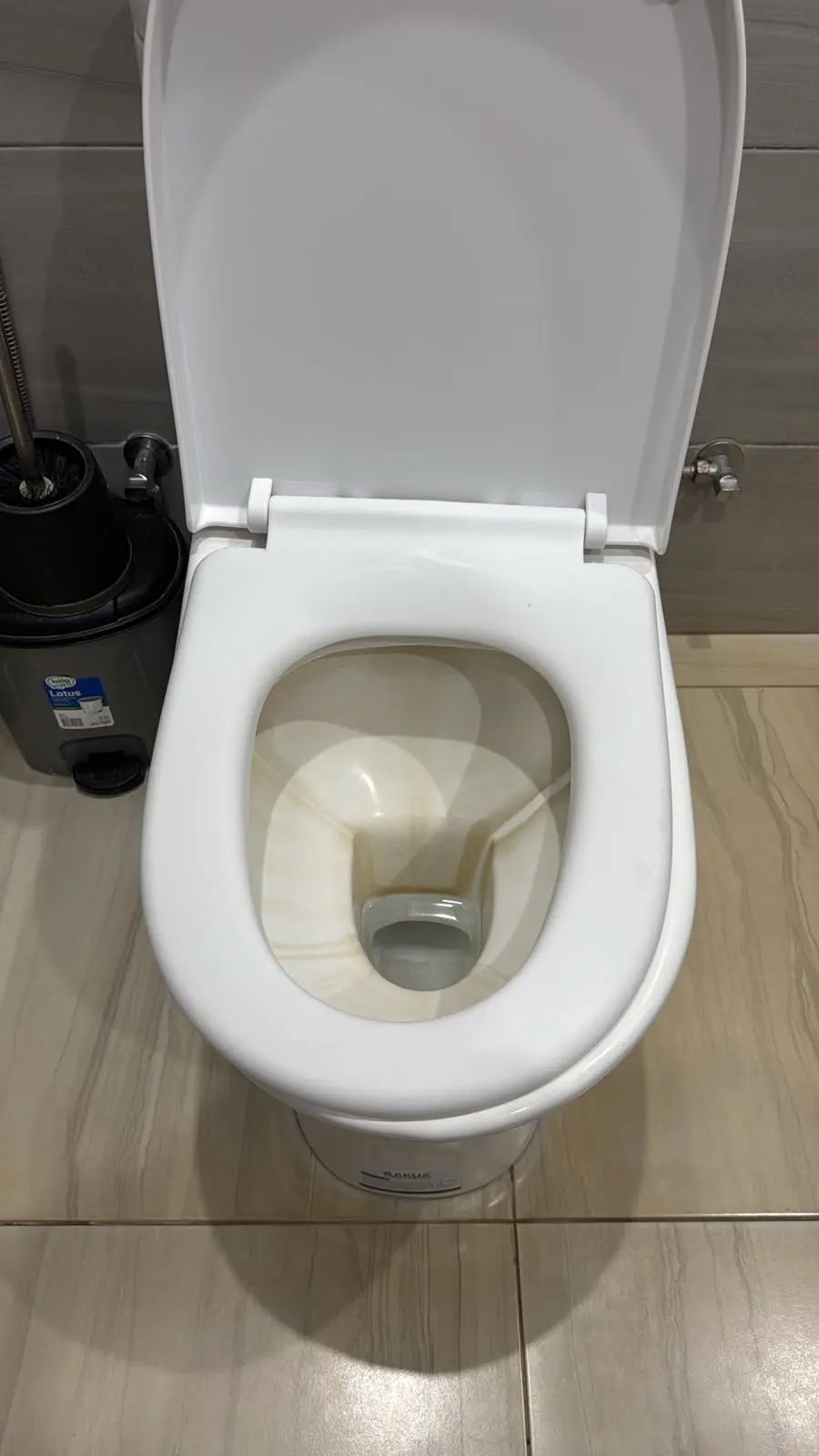 Serviço de limpeza de sanitário 3